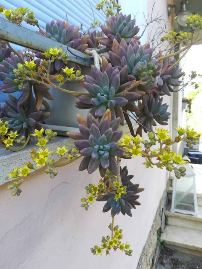 Tramonti E Valli Calvi dellʼ Umbria Zewnętrze zdjęcie